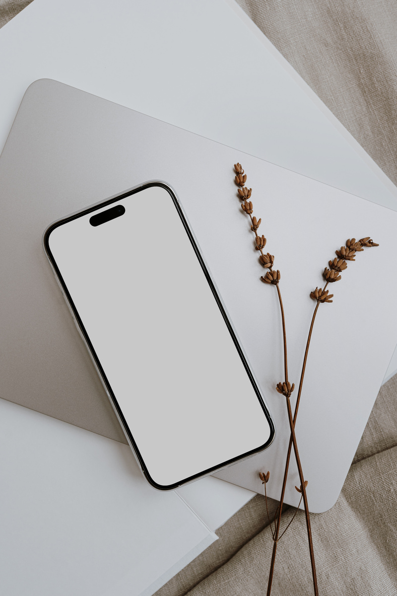 Smart Phone with Blank Screen and Dried Flower
